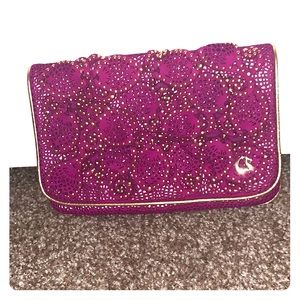 Carmen Steffens clutch